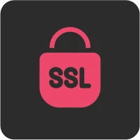 Partner AI SSL icon